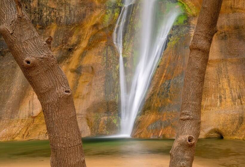 فندق The Snuggle Inn