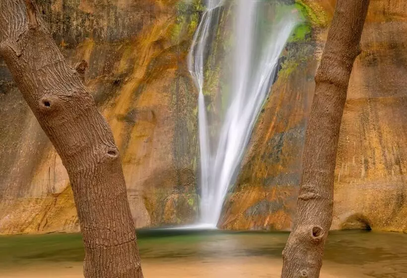 Отель The Snuggle Inn