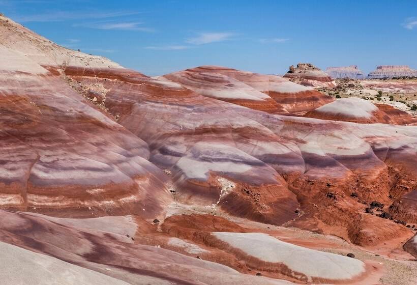 فندق The Snuggle Inn