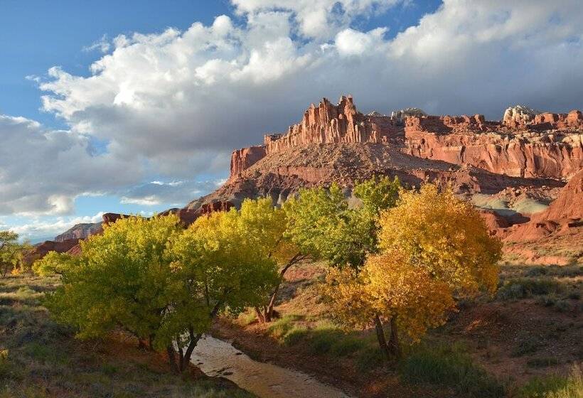 فندق The Snuggle Inn