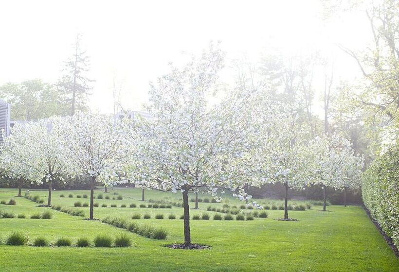 Отель Topping Rose House