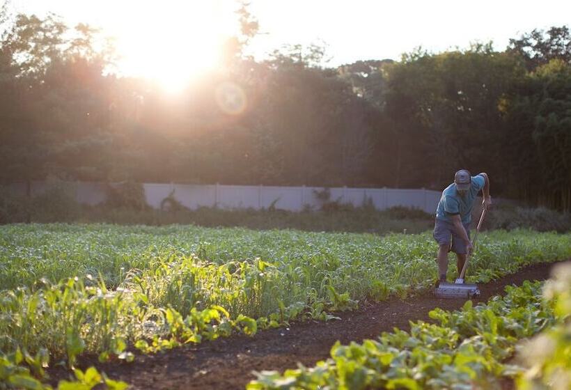 Отель Topping Rose House