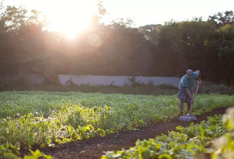 호텔 Topping Rose House