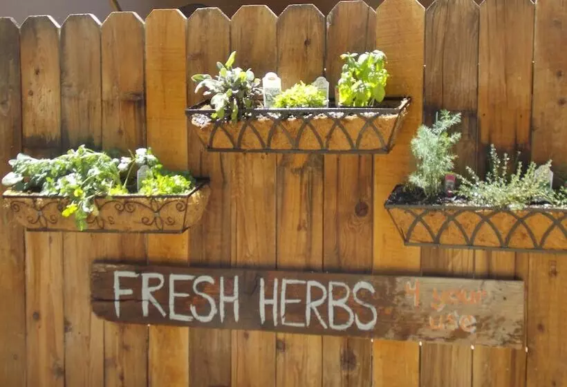 استراحتگاه Vintage Lakeside Inn