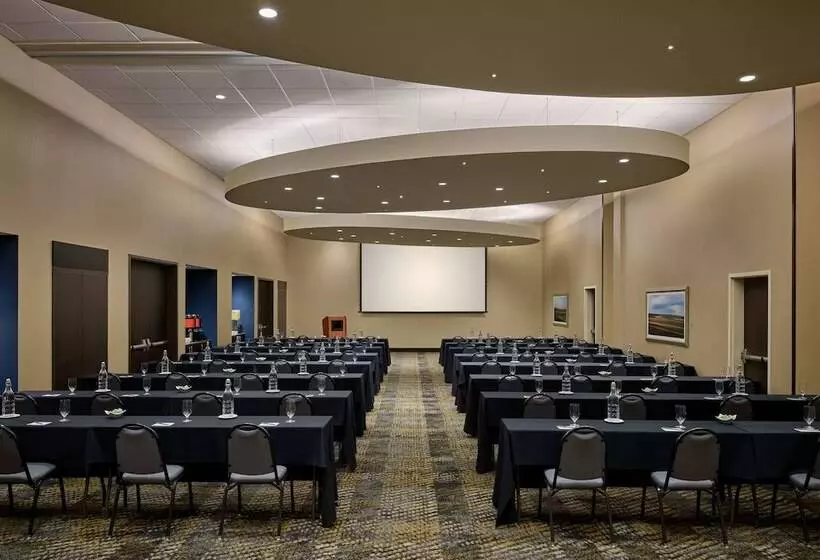 Springhill Suites By Marriott Denver Downtown