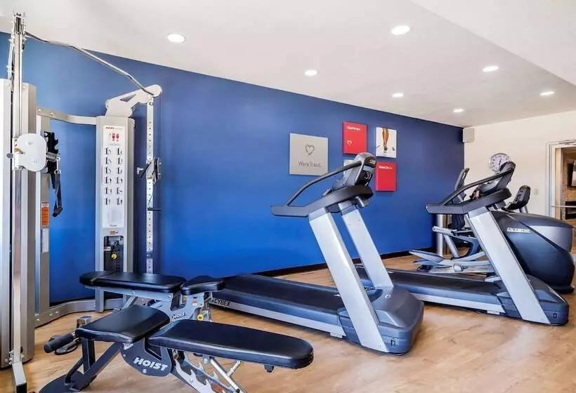 בית מלון כפרי Comfort Suites El Paso Airport