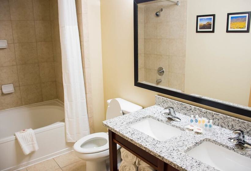 호텔 Comfort Suites El Paso Airport