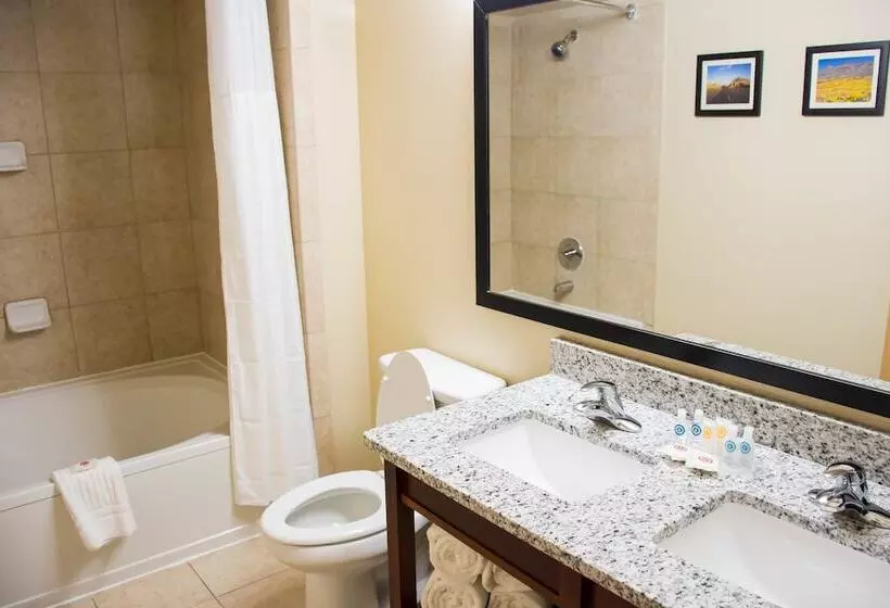 בית מלון כפרי Comfort Suites El Paso Airport