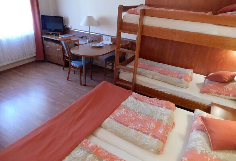 فندق Penzion Fan