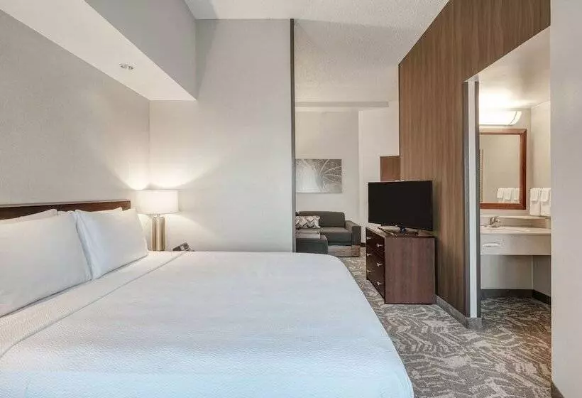 호텔 Springhill Suites Terre Haute