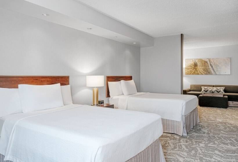 בית מלון כפרי Springhill Suites Terre Haute