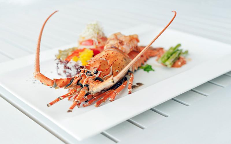 Hotel The Sands Khao Lak By Katathani   Sha Extra Plus