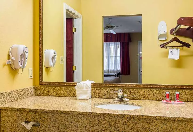 汽车旅馆  Econo Lodge Inn & Suites Bryant