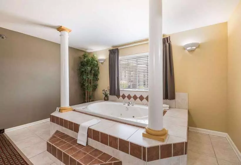 汽车旅馆  Econo Lodge Inn & Suites Bryant