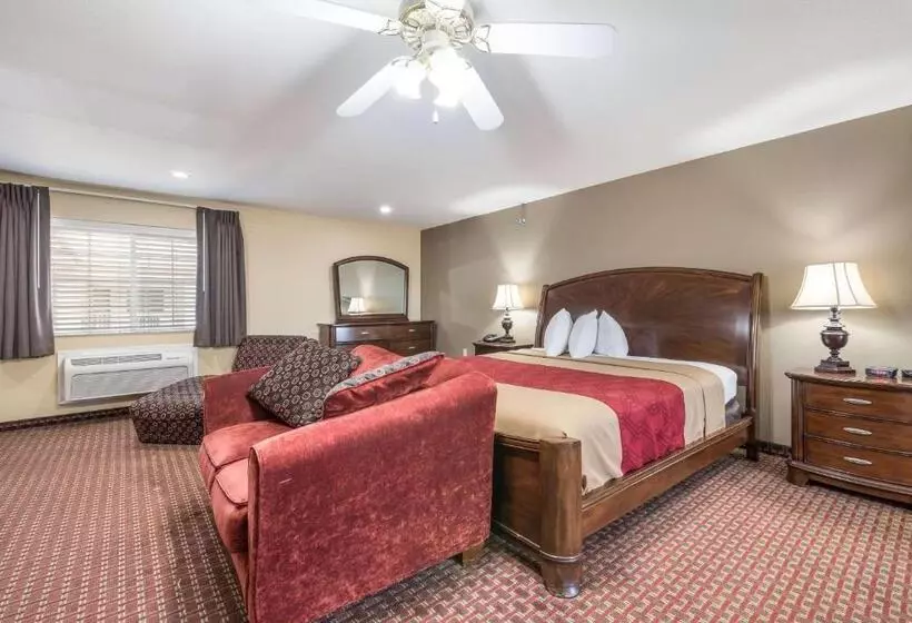 汽车旅馆  Econo Lodge Inn & Suites Bryant
