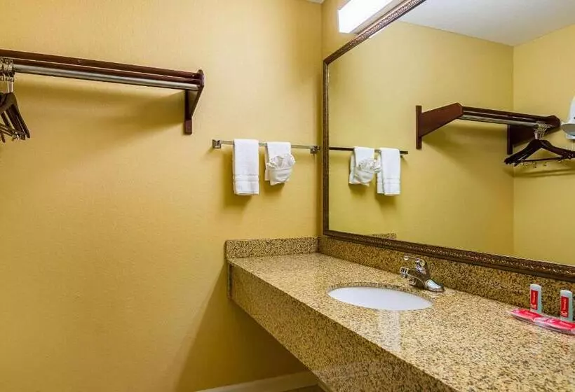 汽车旅馆  Econo Lodge Inn & Suites Bryant