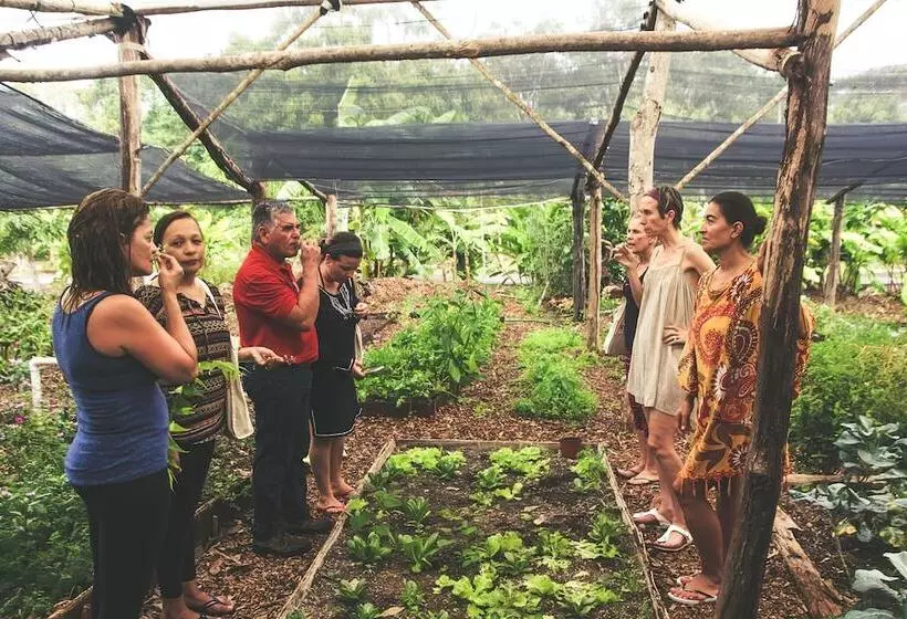 Akalki Hotel Y Centro Holistico