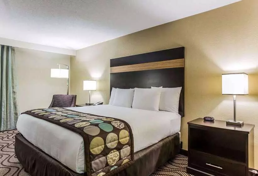 Clarion Hotel Airport & Conference Center