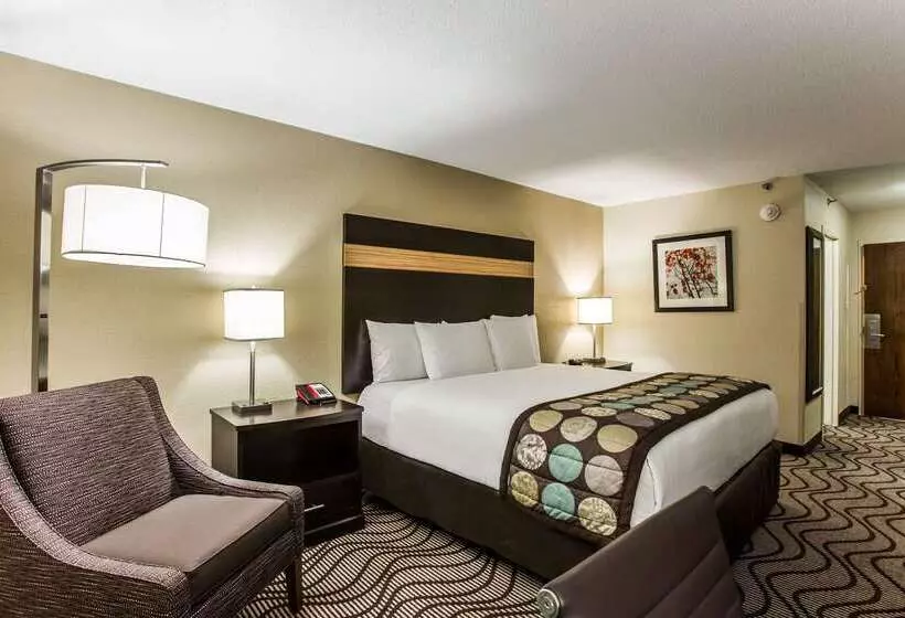 Clarion Hotel Airport & Conference Center