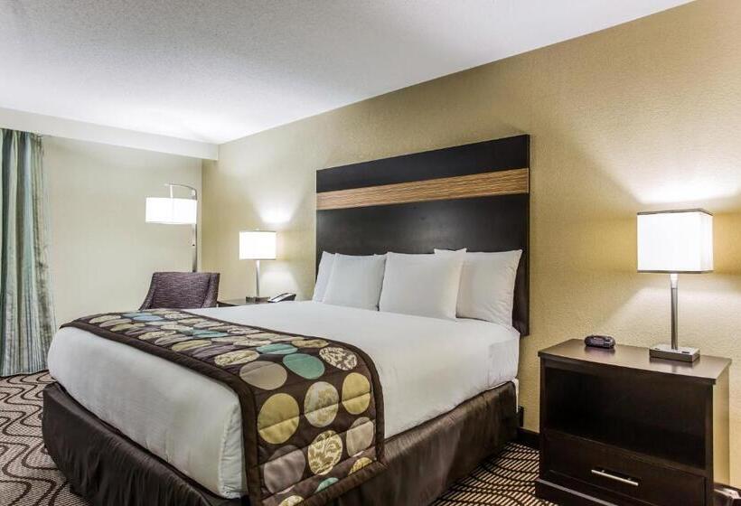 Clarion Hotel Airport & Conference Center