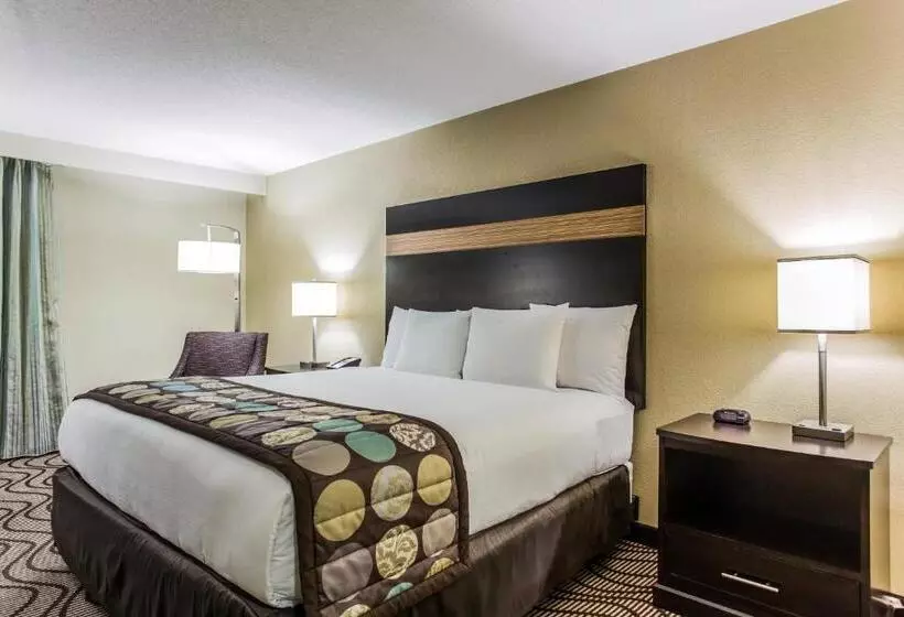 Clarion Hotel Airport & Conference Center