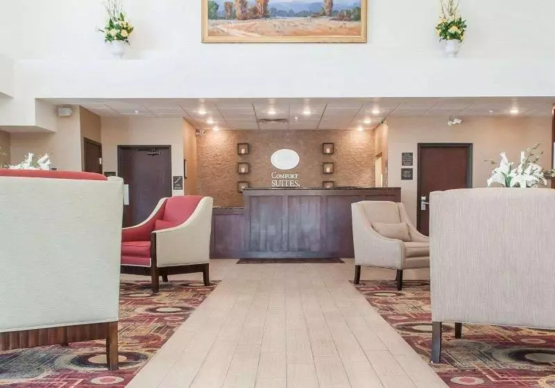 هتل Comfort Suites Farmington