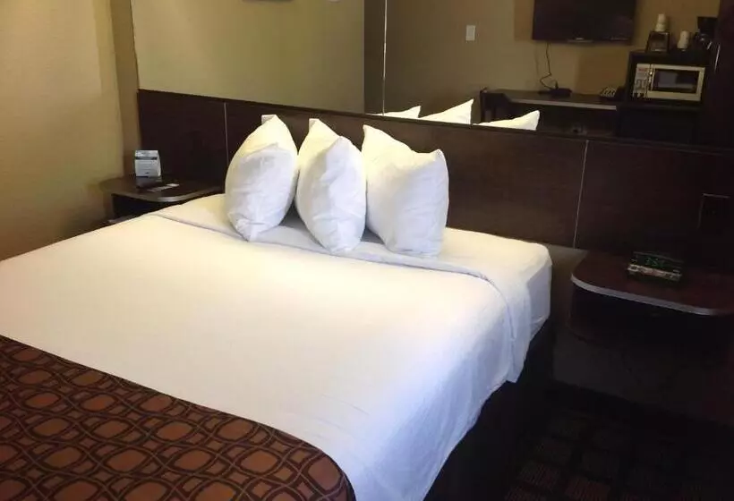 酒店 Sonesta Essential Gonzales Tx