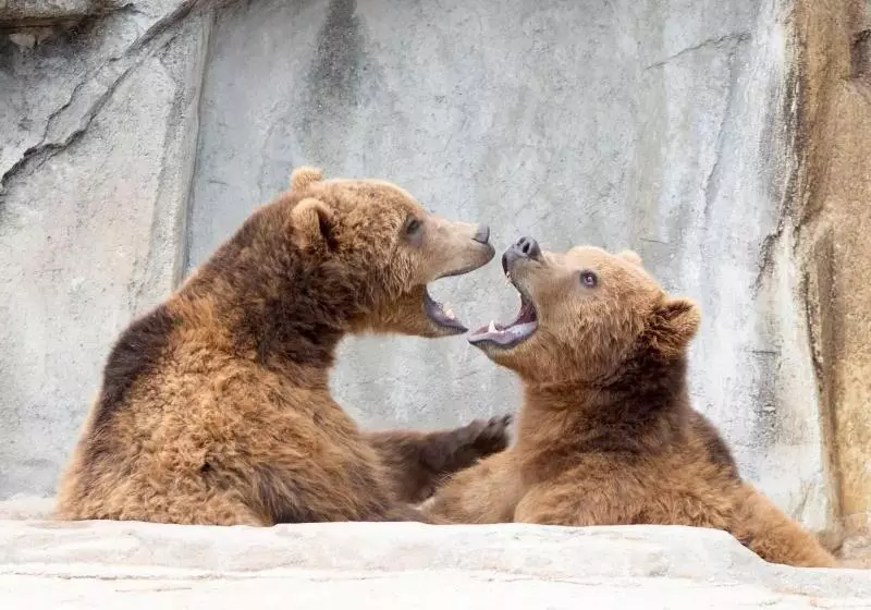 Мотель Woodfield Inn And Suites