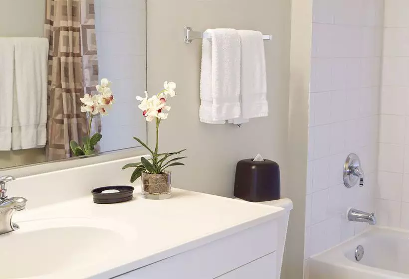 Sky City At The Pier