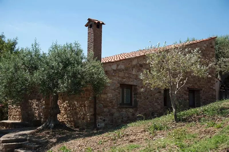 Azienda Agrituristica Bergi
