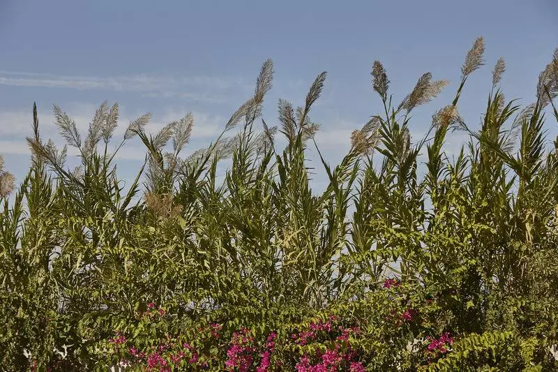 酒店 Ammos Luxury Resort