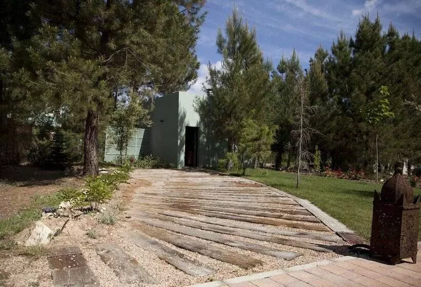 هتل Boutique Pinar