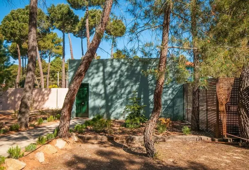 هتل Boutique Pinar