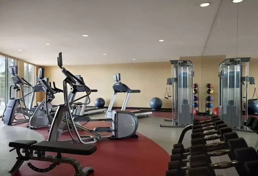 ホテル Holiday Inn Express Miami Airport Blue Lagoon Area, An Ihg
