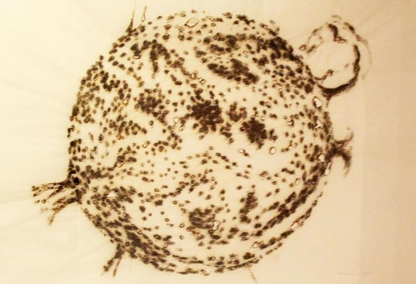 Culture Hotel Centro Storico