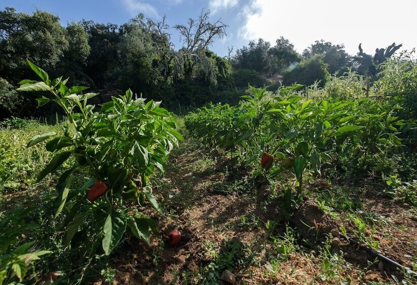 酒店 Herdade Da Cortesia