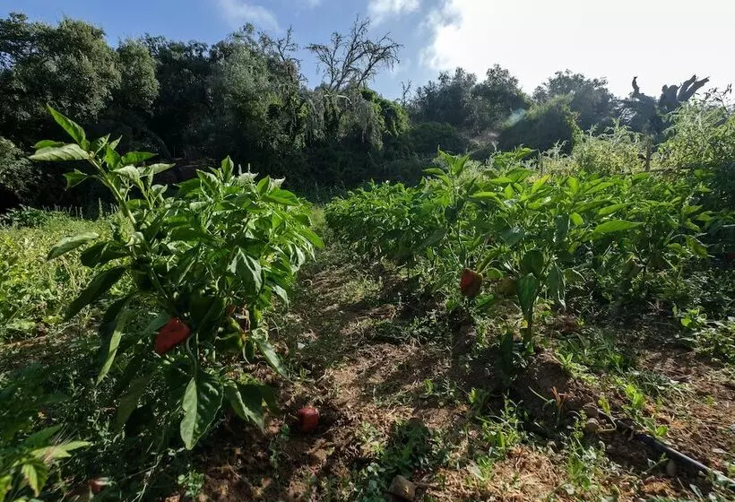 فندق Herdade Da Cortesia