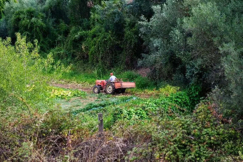 فندق Herdade Da Cortesia