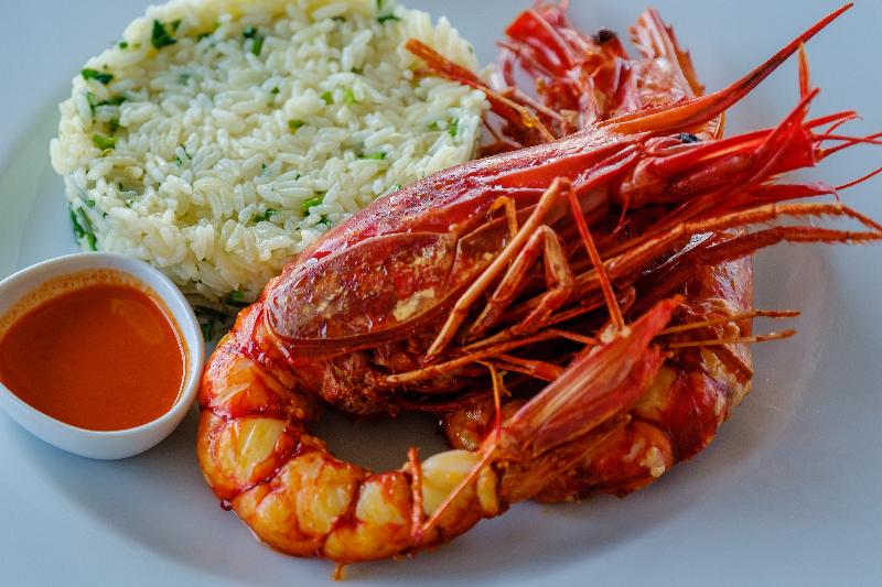 酒店 Herdade Da Cortesia