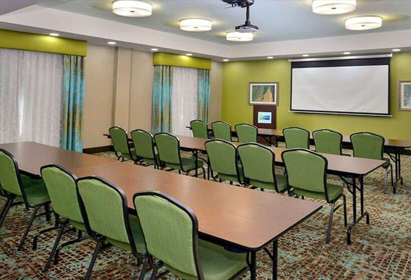 בית מלון כפרי Holiday Inn Express And Suites Schulenburg, An Ihg