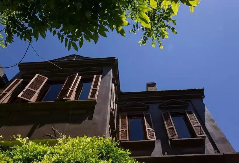 בית מלון כפרי Life Gallery