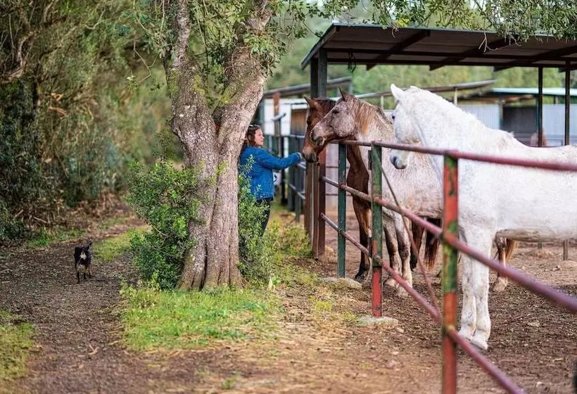 Hotel di Montagna Finca Agroturismo Son Menut