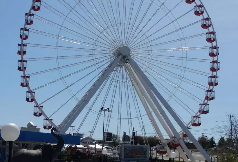 モーテル Dutton Inn