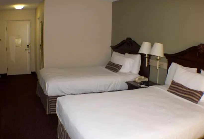 فندق على الطريق The Garden Inn