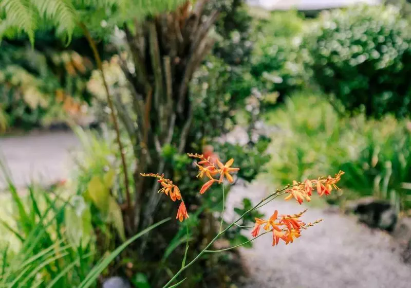 Lomakeskus Kilauea Lodge And Restaurant