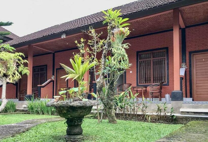 בית מלון כפרי Dewi Ayu 2 Accomodation Redpartner