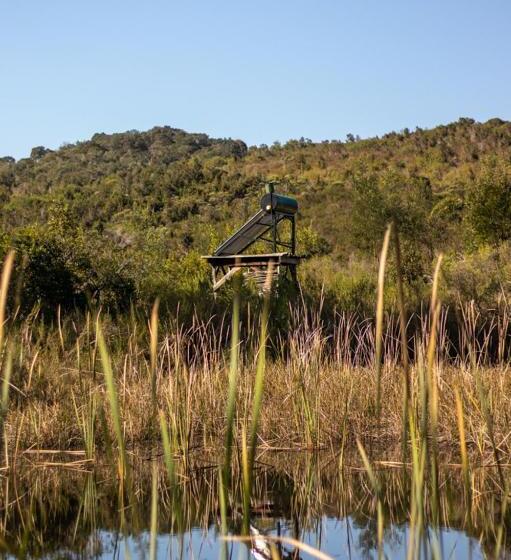 בית מלון כפרי Forest Harmony