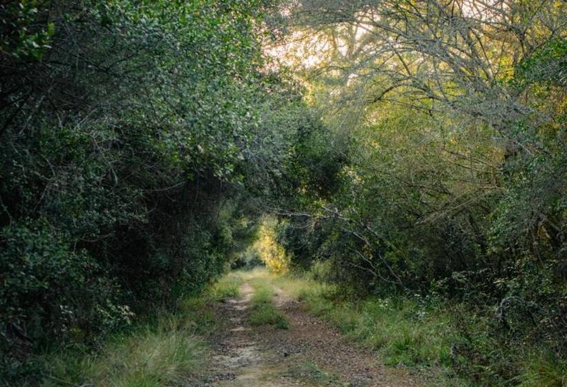 בית מלון כפרי Forest Harmony