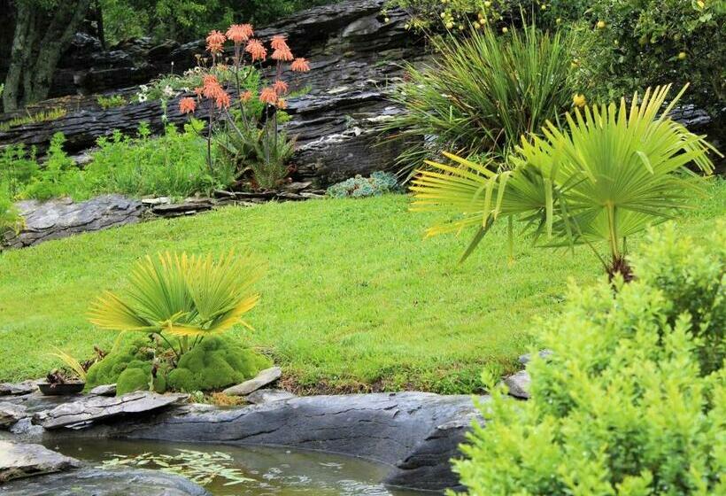 פנסיון Labyrinth Gardens Guest House