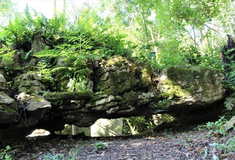 פנסיון Labyrinth Gardens Guest House